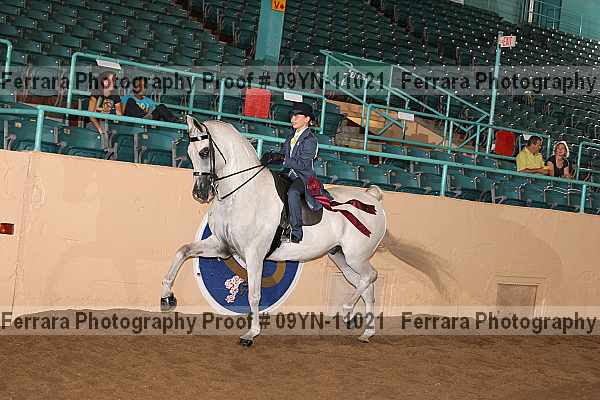 Proof 09yn-11021