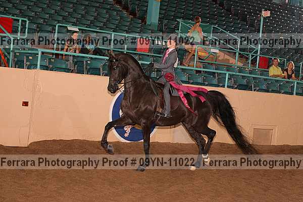 Proof 09yn-11022