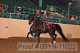 09yn-11022 proof