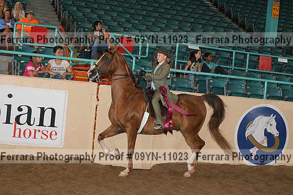 Proof 09yn-11023