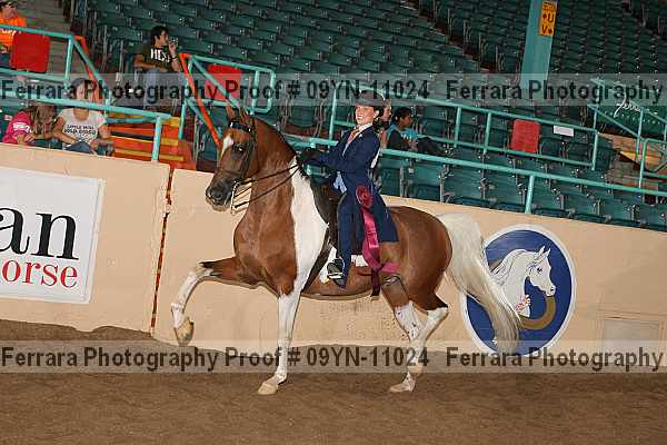 Proof 09yn-11024