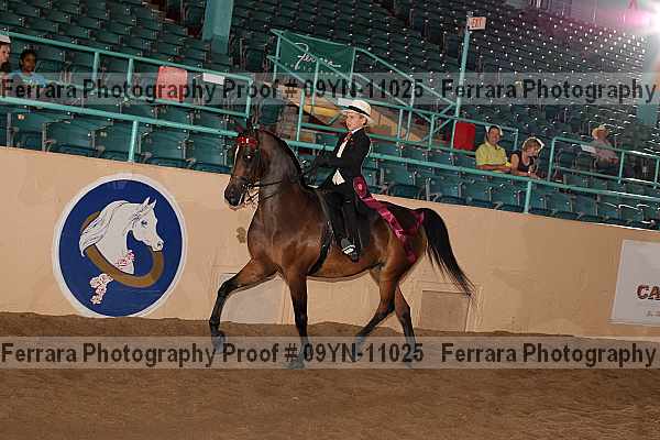 Proof 09yn-11025
