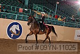 09yn-11025 proof