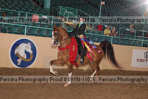 Proof 09yn-11026
