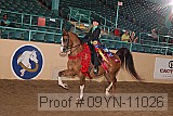 09yn-11026 proof