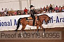 09yn-00956 proof