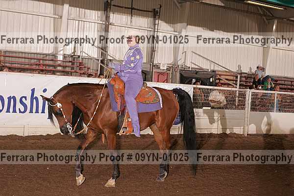 Proof 09yn-01025