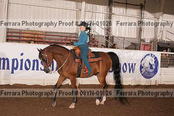 Proof 09yn-01026