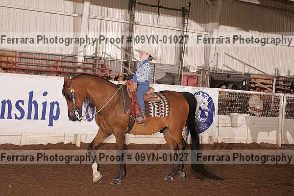 Proof 09yn-01027