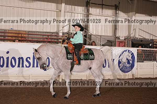 Proof 09yn-01028
