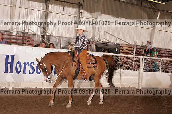 Proof 09yn-01029