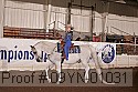 09yn-01031 proof