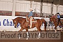 09yn-01032 proof