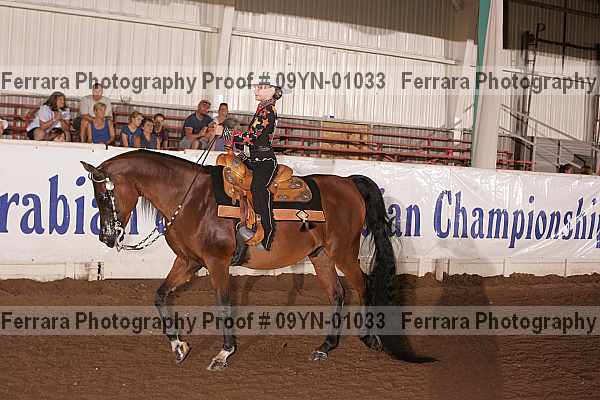 Proof 09yn-01033