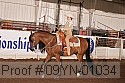 09yn-01034 proof