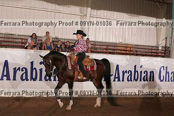 Proof 09yn-01036
