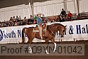 09yn-01042 proof