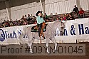 09yn-01045 proof