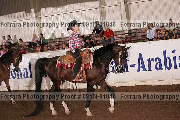 Proof 09yn-01046