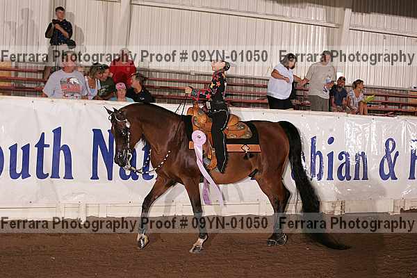 Proof 09yn-01050