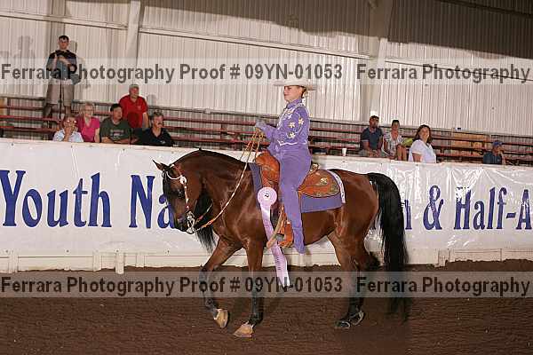 Proof 09yn-01053