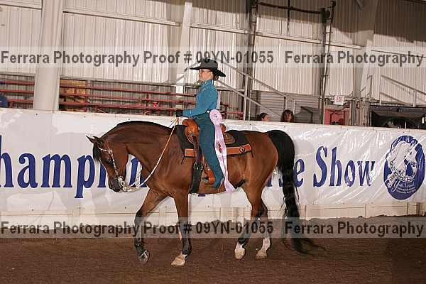 Proof 09yn-01055