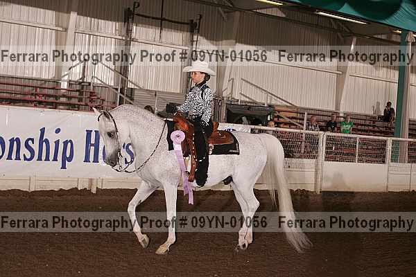 Proof 09yn-01056