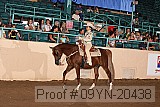 09yn-20438 proof