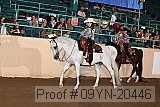 09yn-20446 proof