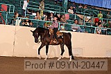 09yn-20447 proof