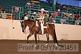 09yn-20451 proof