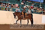 09yn-20452 proof