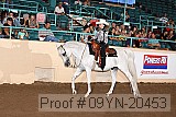 09yn-20453 proof