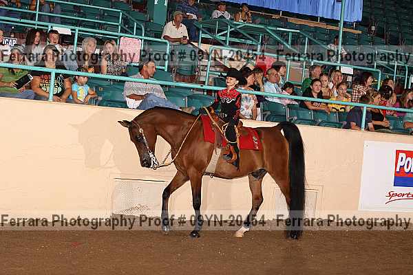 Proof 09yn-20454