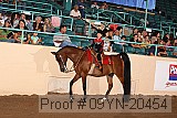 09yn-20454 proof
