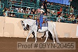 09yn-20455 proof