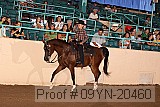 09yn-20460 proof