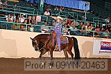 09yn-20463 proof