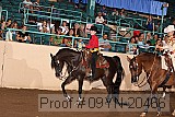 09yn-20466 proof