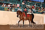 09yn-20485 proof