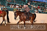 09yn-20486 proof