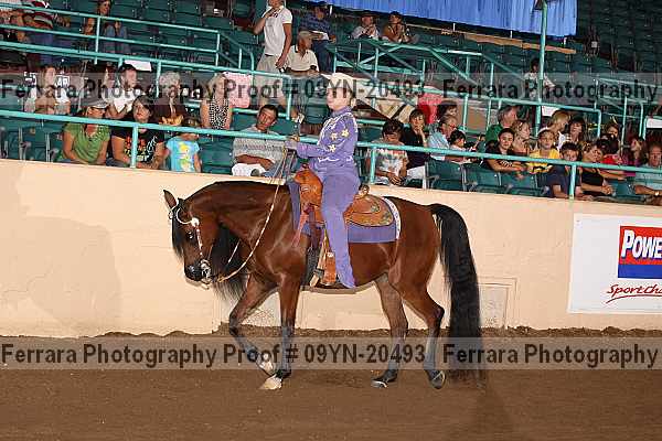 Proof 09yn-20493