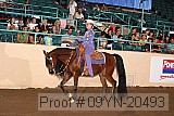 09yn-20493 proof