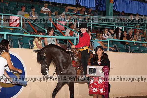 Proof 09yn-20495