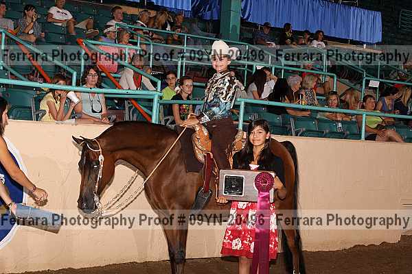 Proof 09yn-20496