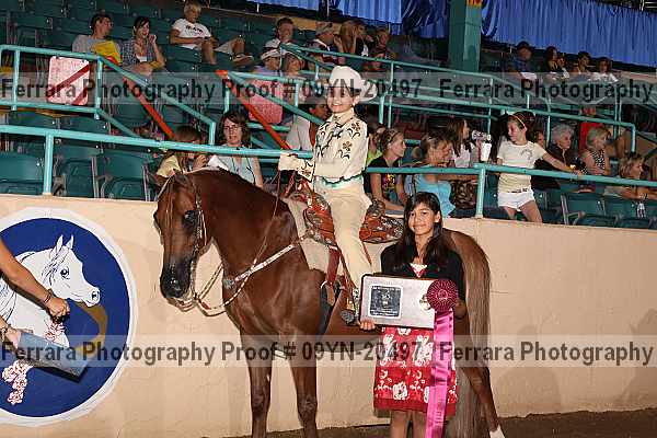 Proof 09yn-20497
