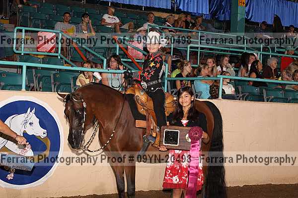 Proof 09yn-20498