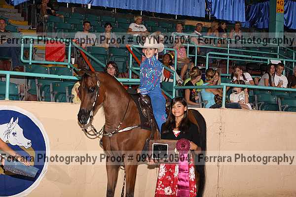 Proof 09yn-20504