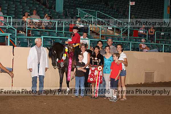 Proof 09yn-20506