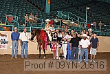 09yn-20516 proof